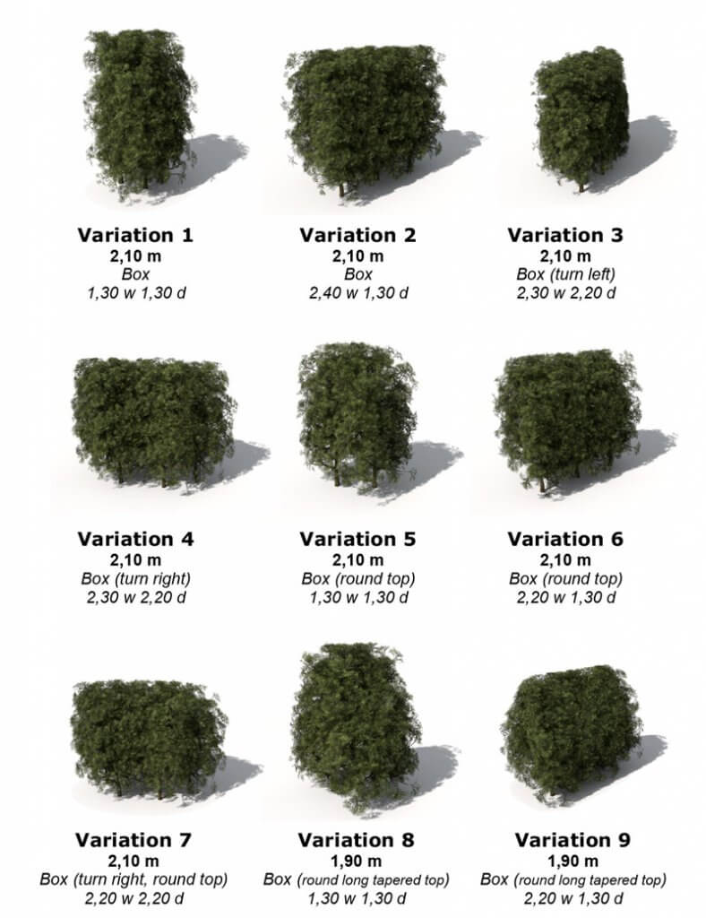 Chamaecyparis Hedges多组形态扁柏树篱园林绿植3D模型（OBJ）