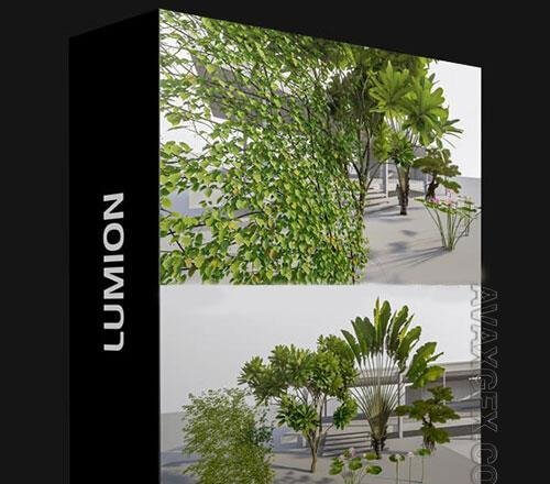 LUMION 树3D模型下载 (Lumion)