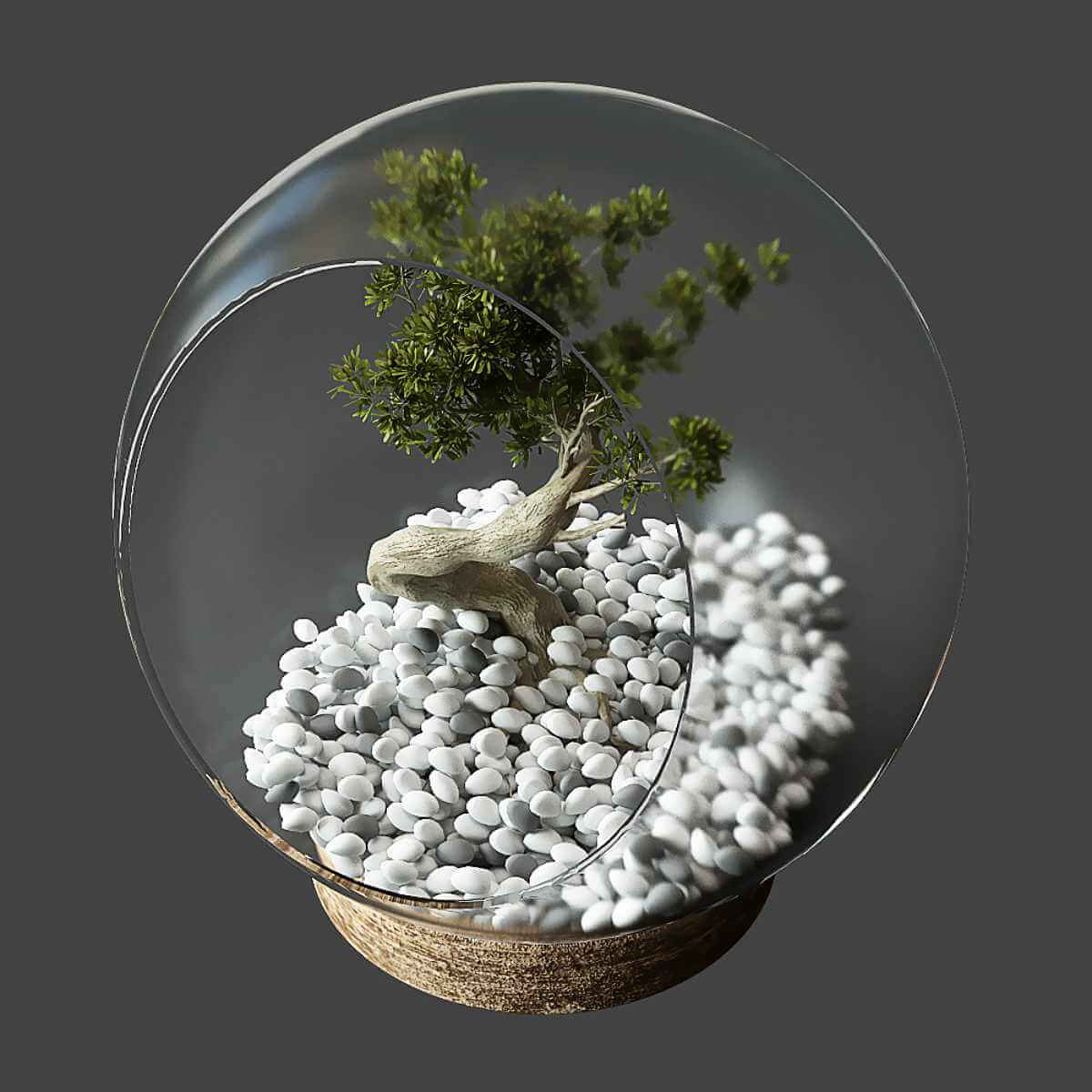 玻璃球中的小绿植盆景3D模型（FBX,MAX）