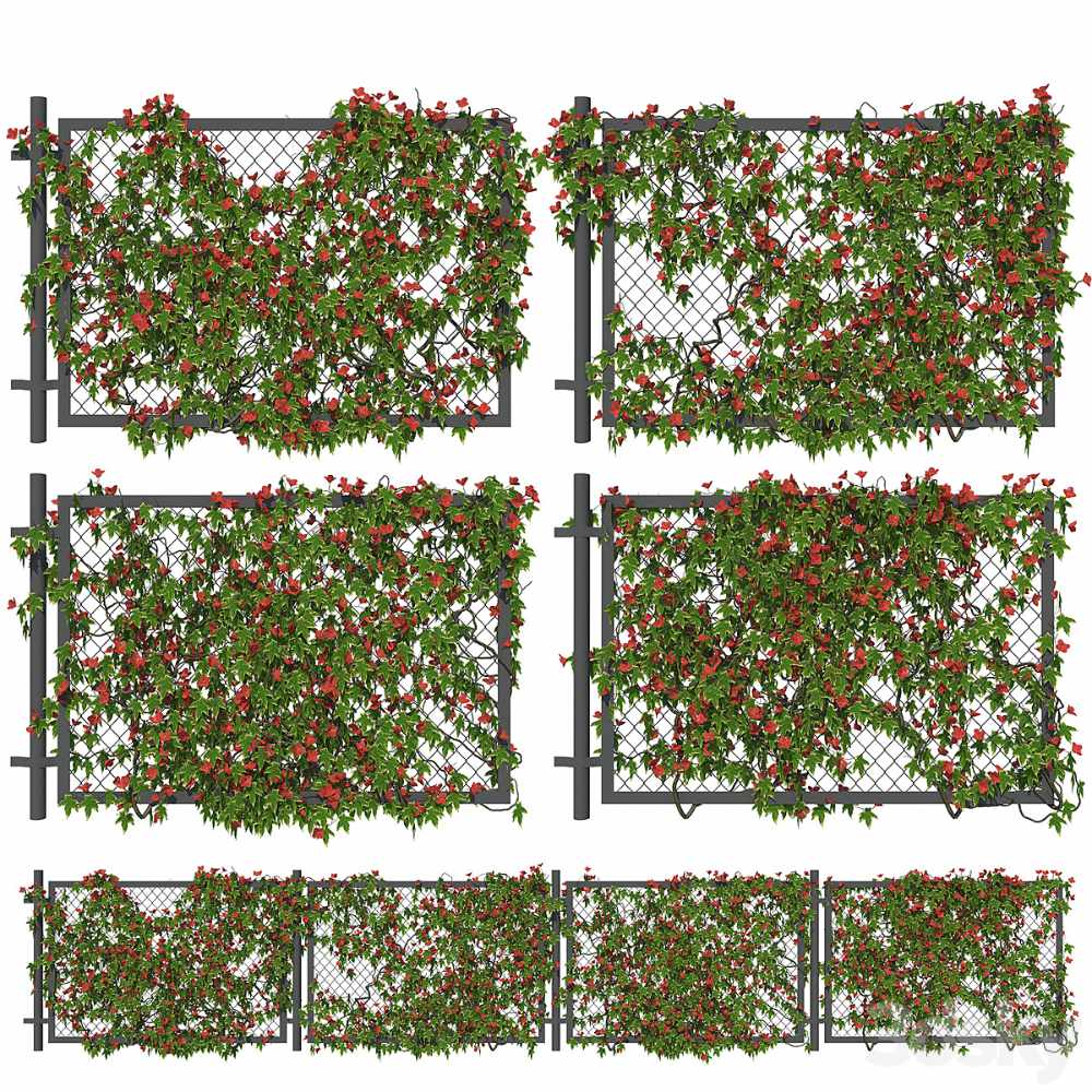 栅栏上开满花朵的藤蔓植物3D模型（OBJ,MAX）