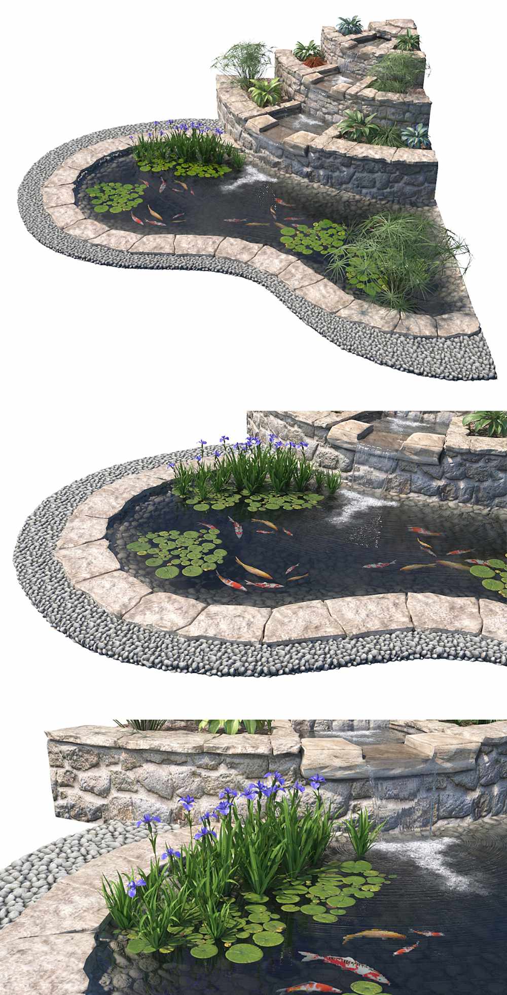 包含植物和鱼的花园池塘景观3D模型（FBX,MAX）