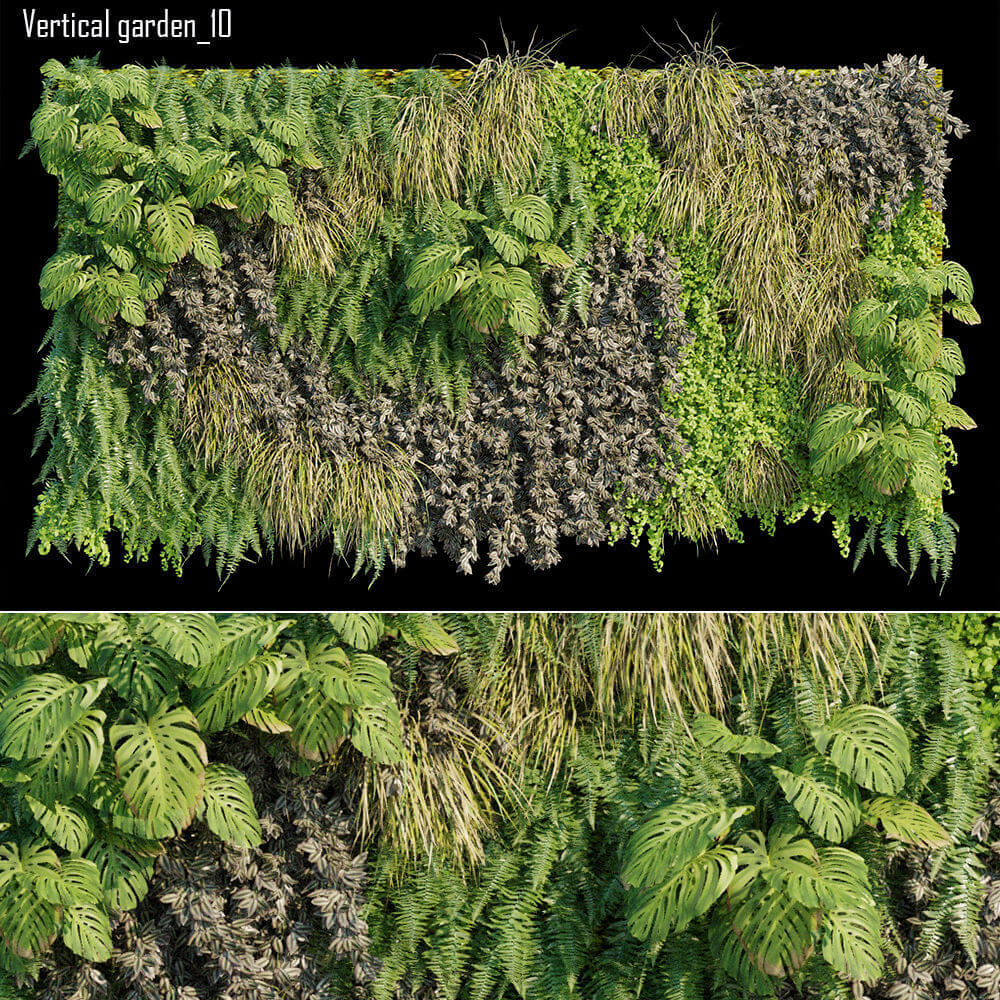包含龟背竹和蕨类植物的绿植墙3D模型（OBJ,MAX）
