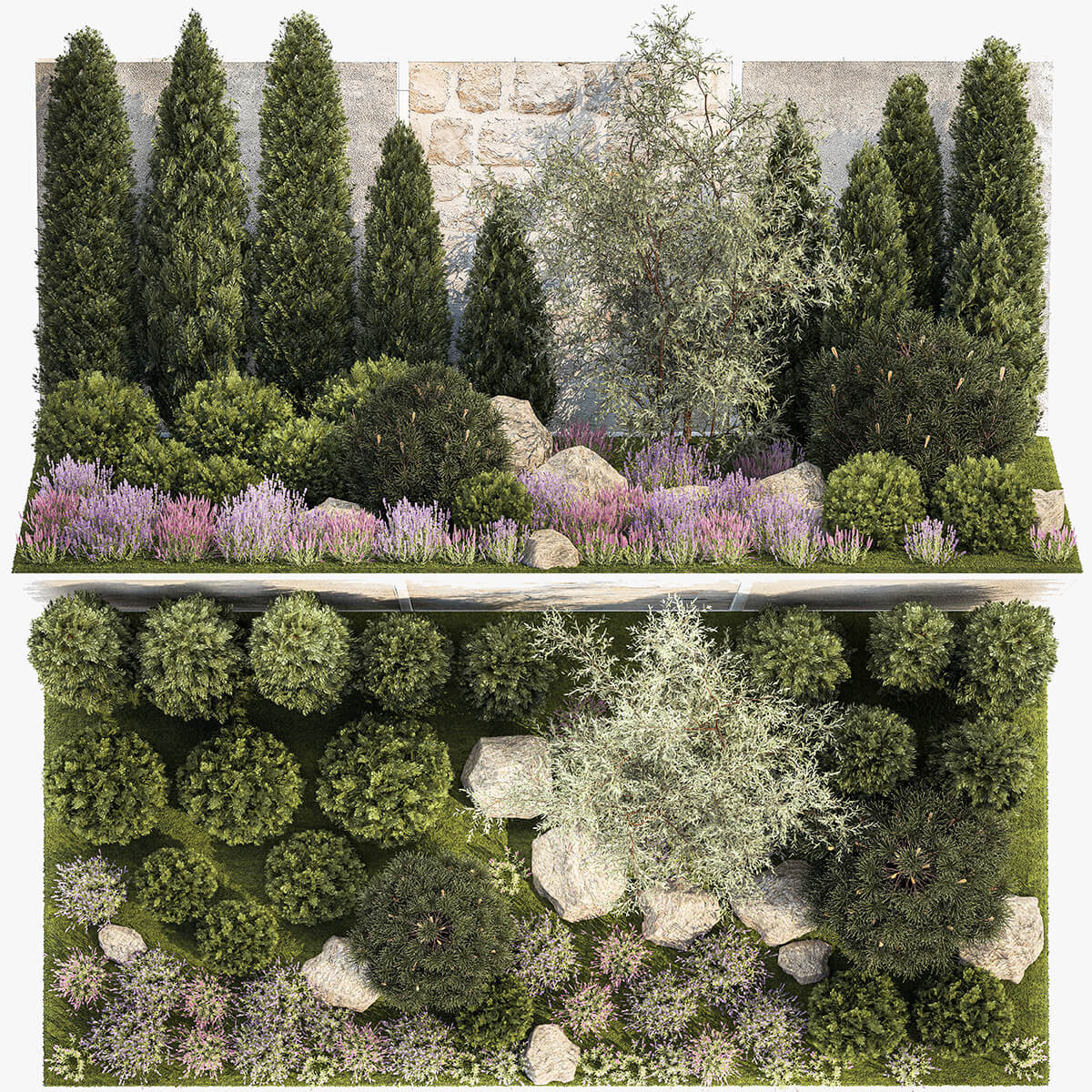 杜松 冷杉 橄榄树 薰衣草花丛等植物组合景观 花园景观3D模型（OBJ,MAX）
