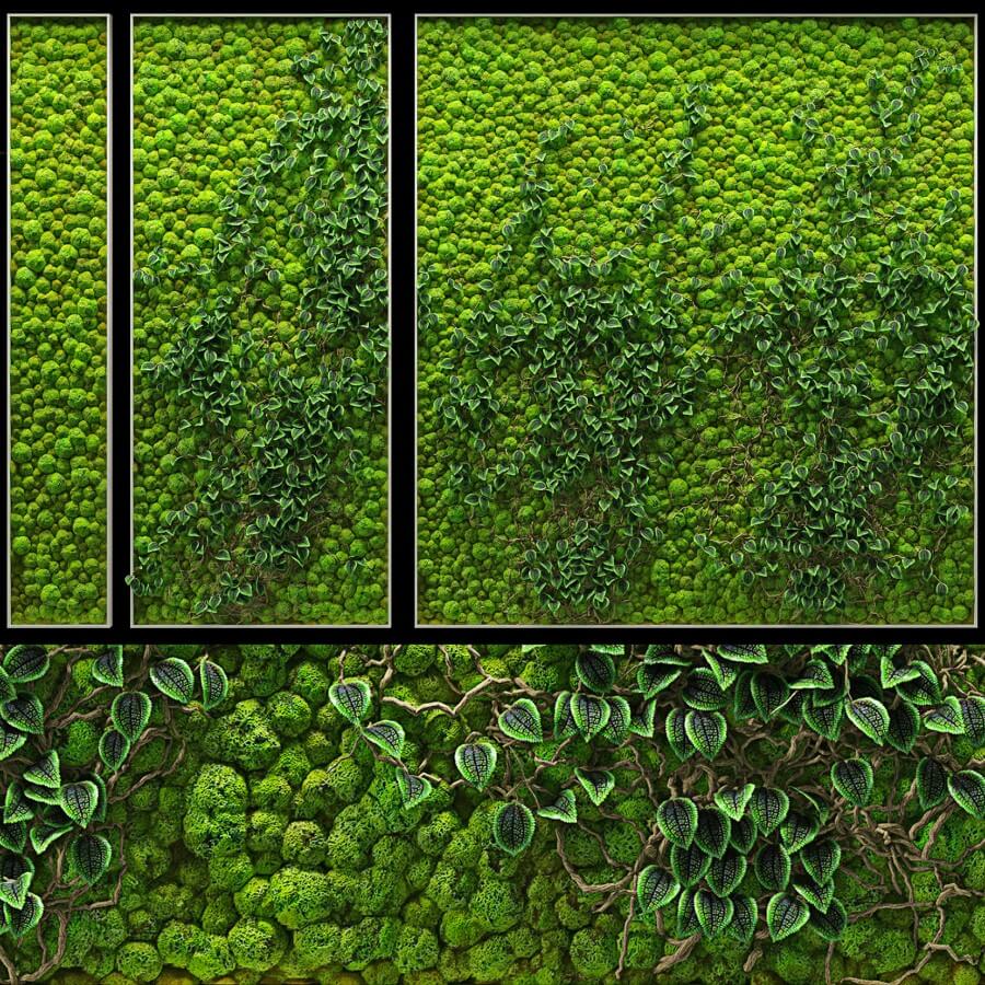 常春藤和苔癣植物绿植墙3D模型（OBJ,MAX）