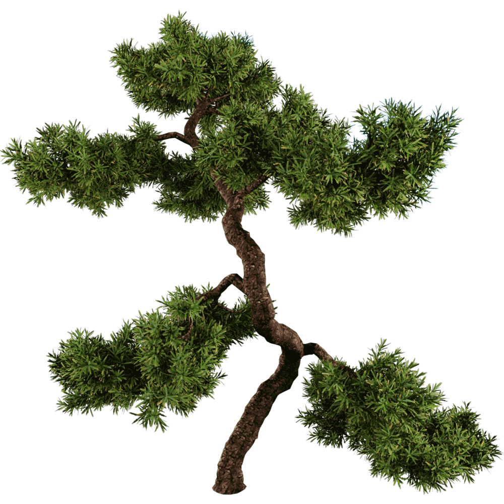 杜松 刺柏景观树3D模型（OBJ,FBX,MAX）
