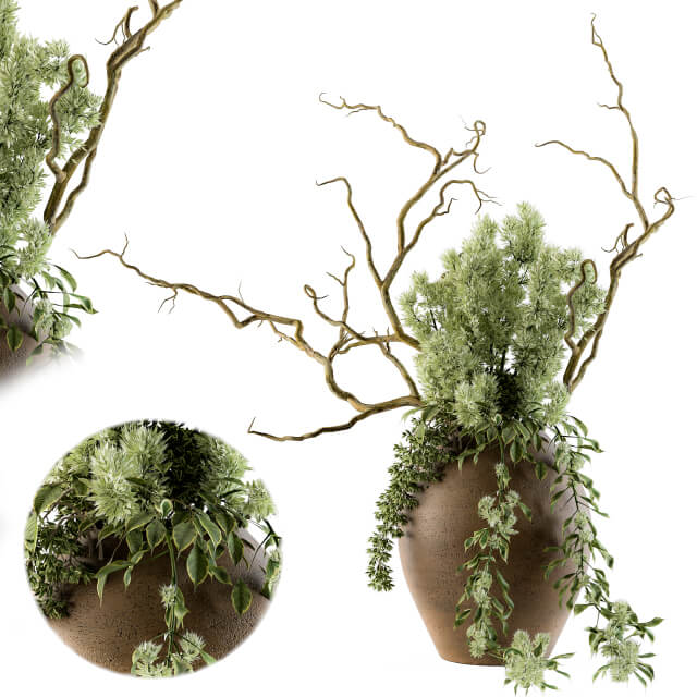 陶罐中的绿色植物枝条3D模型（OBJ,FBX,MAX）