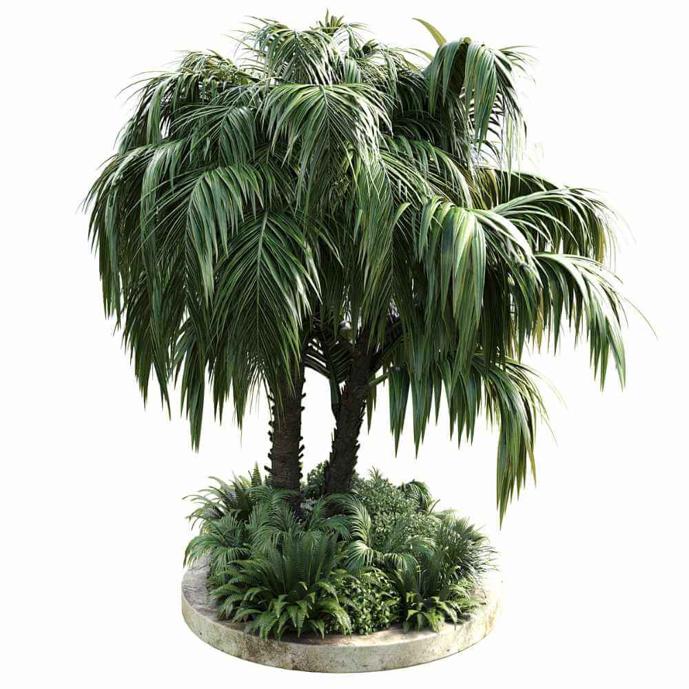 包含棕榈树 蕨类植物的圆形室外绿植花坛3D模型（OBJ,MAX）